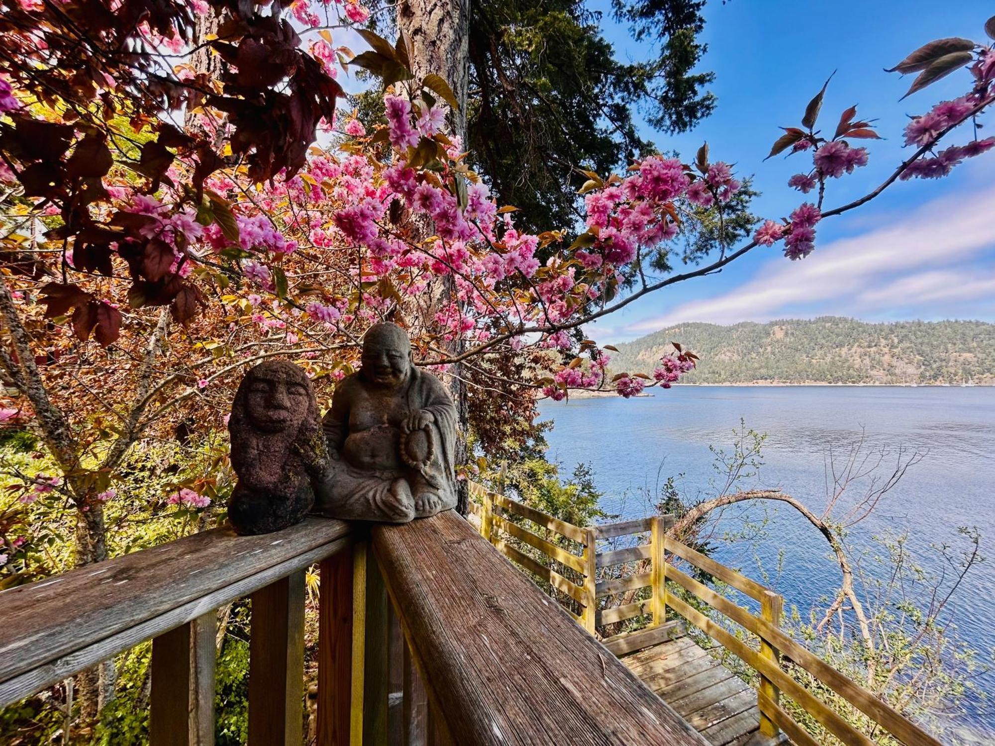 Shangrila Waterfront Vacation Home Bedwell Harbour Екстер'єр фото